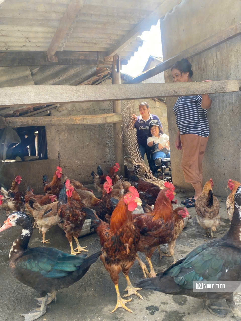 Nghị lực của người phụ nữ ngồi xe lăn vẫn “gieo” hàng trăm sinh kế cho người cùng cảnh ngộ- Ảnh 2.