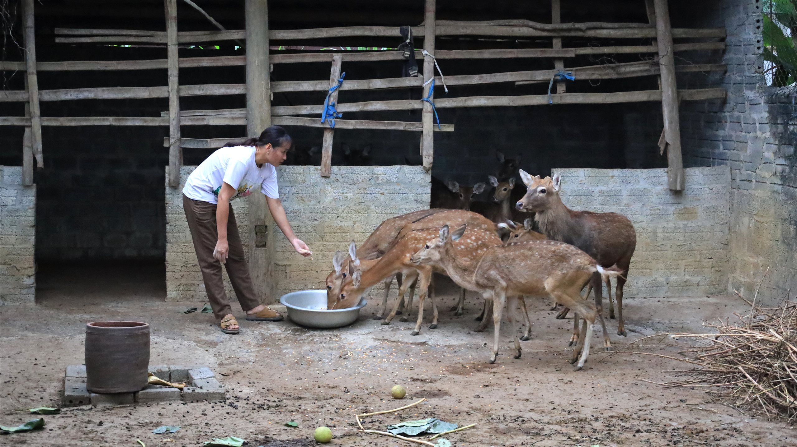 Chương trình mục tiêu quốc gia ở khu vực miền núi Thanh Hóa: Cần ưu tiên điện và nước sạch- Ảnh 3.