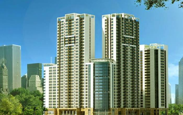 TLD sắp phát hành gần 3,9 triệu cổ phiếu trả cổ tức - Ảnh 1.