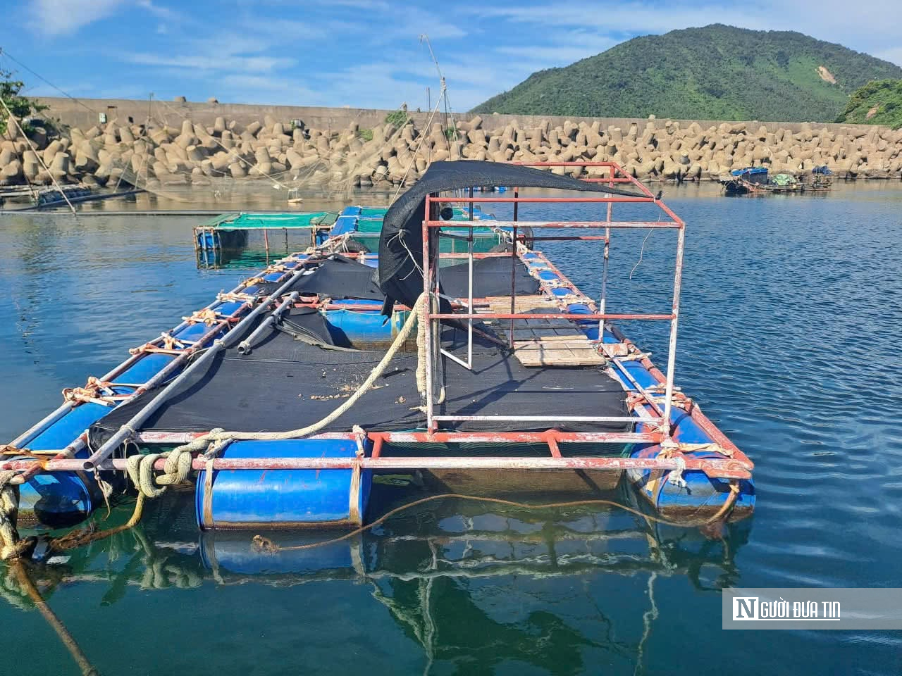 Hà Tĩnh công bố kết quả kiểm tra bước đầu hiện tượng cá chết rải rác dạt vào bờ biển- Ảnh 3.