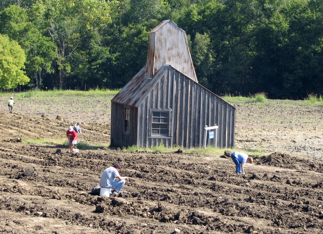 Đến công viên, người đàn ông tìm thấy thứ quý hiếm trị giá ít nhất 6,5 tỷ đồng - Ảnh 1.