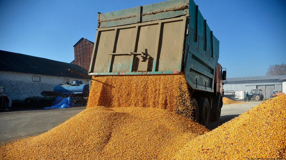 Phản ứng của Ukraine khi mặt hàng chủ lực có nguy cơ bị áp hạn chế vĩnh viễn ở EU - Ảnh 1.