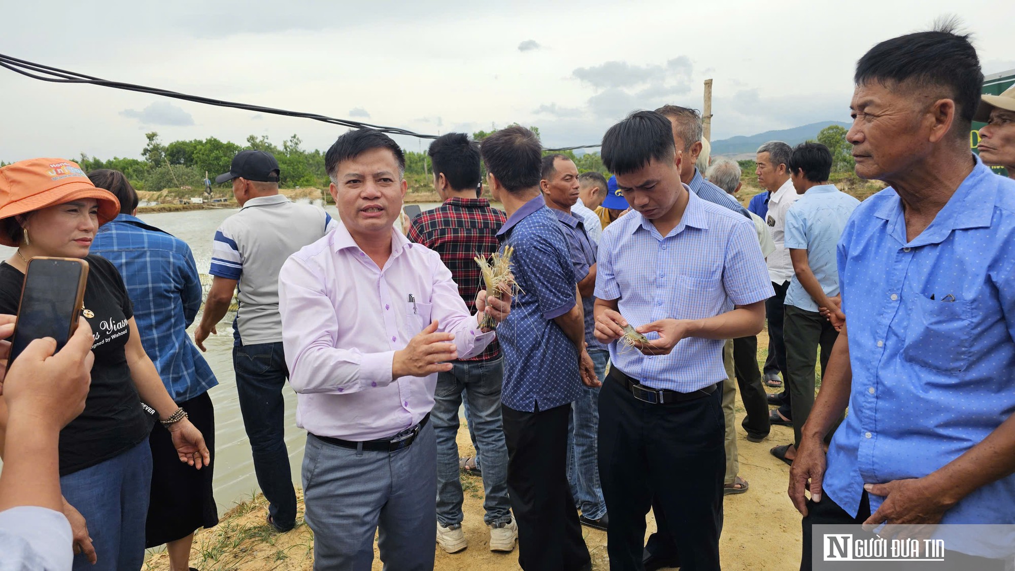 Quảng Trị: Đổi giống, thay mô hình và giấc mơ sinh kế dân vùng cát- Ảnh 4.