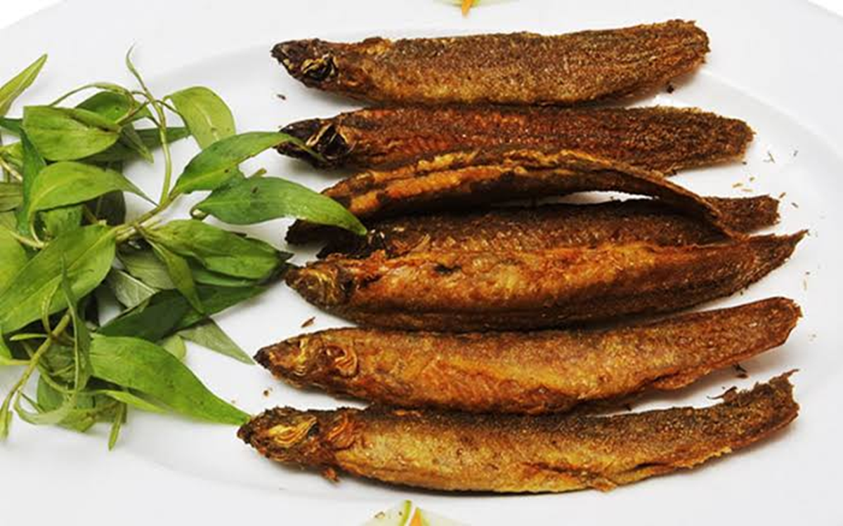 Loại cá thế giới ví như 