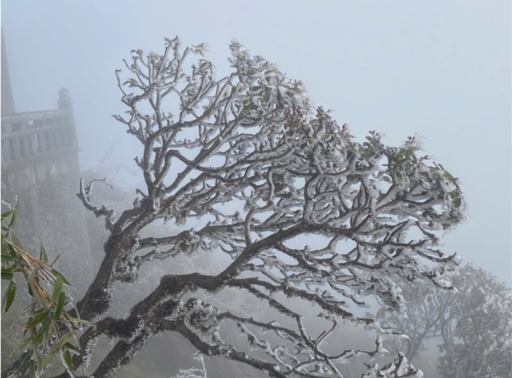 Miền Bắc đón đợt không khí lạnh mạnh bao phủ, khi nào rét đậm đạt đỉnh?- Ảnh 1. Miền Bắc đón đợt không khí lạnh mạnh bao phủ, khi nào rét đậm đạt đỉnh?- Ảnh 1.