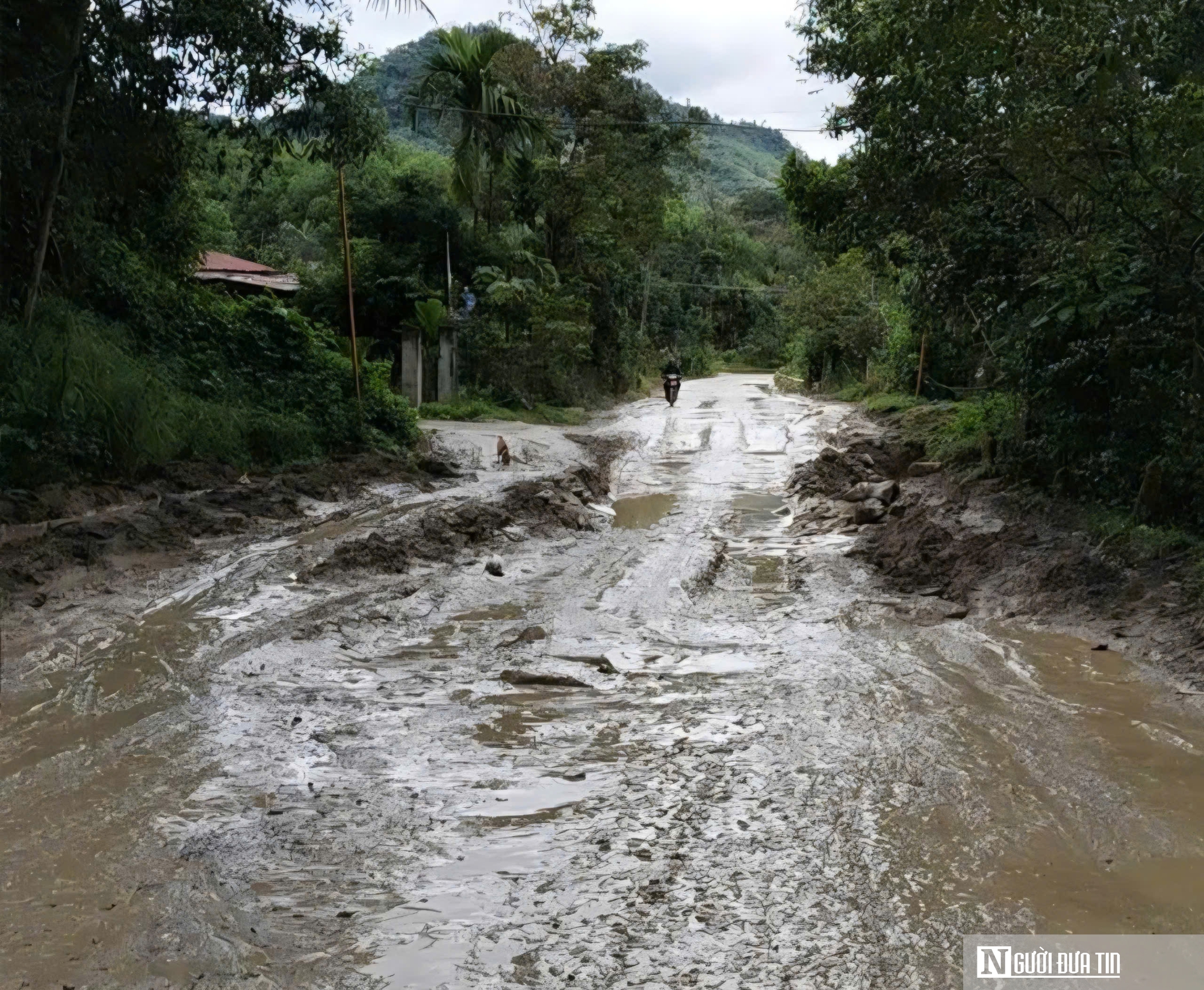 Đà Nẵng: Chạy đua sửa chữa Quốc lộ 14D, nỗ lực đảm bảo lưu thông ngày Tết- Ảnh 2.
