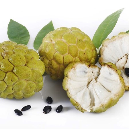 Lợi ích chưa từng nghe tới từ loại quả quen thuộc, có thể phòng ung thư, ngừa đột quỵ - Ảnh 2.