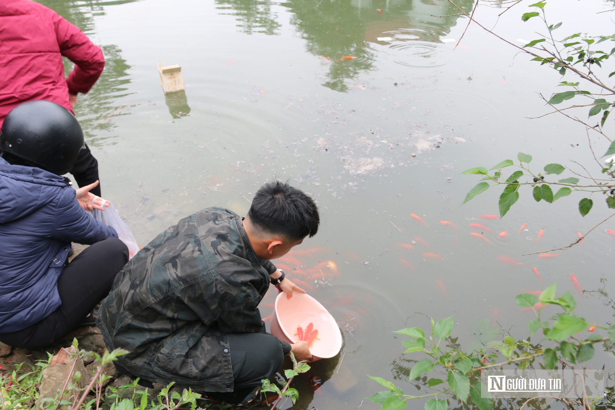 C&aacute; ch&eacute;p ngộp thở dưới l&agrave;n nước đầy tro v&agrave; r&aacute;c trong ng&agrave;y c&uacute;ng &ocirc;ng T&aacute;o- Ảnh 4.