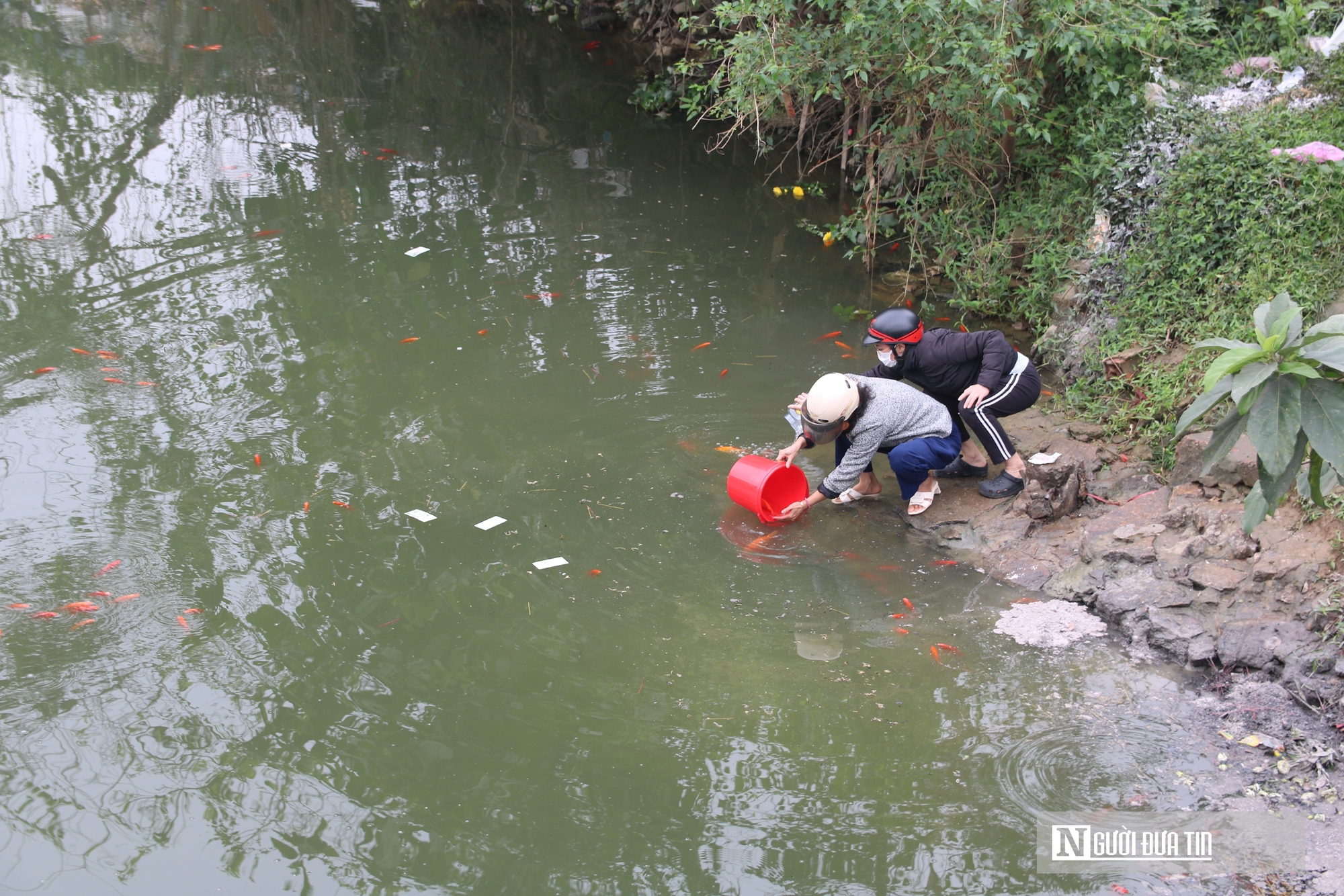 C&aacute; ch&eacute;p ngộp thở dưới l&agrave;n nước đầy tro v&agrave; r&aacute;c trong ng&agrave;y c&uacute;ng &ocirc;ng T&aacute;o- Ảnh 5.