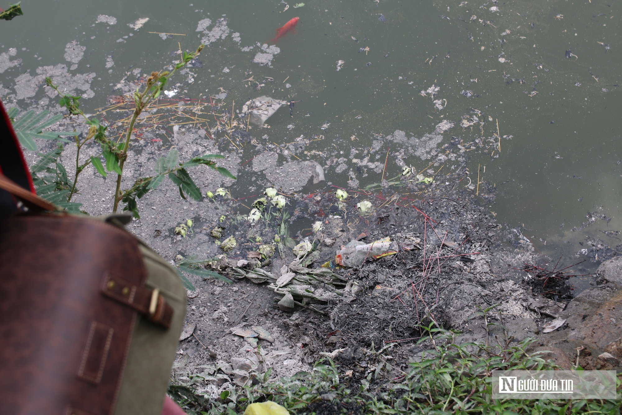 C&aacute; ch&eacute;p ngộp thở dưới l&agrave;n nước đầy tro v&agrave; r&aacute;c trong ng&agrave;y c&uacute;ng &ocirc;ng T&aacute;o- Ảnh 7.