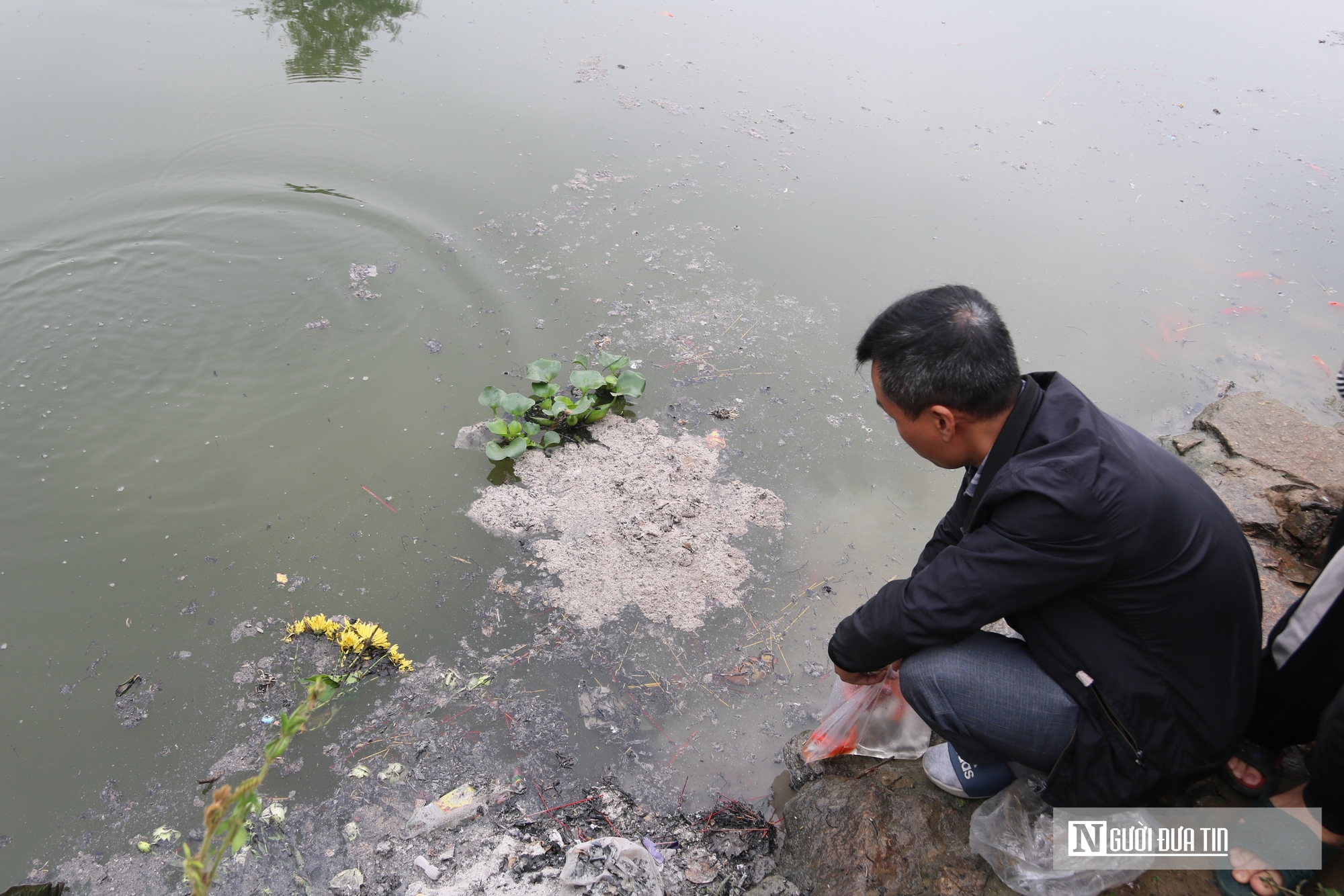 C&aacute; ch&eacute;p ngộp thở dưới l&agrave;n nước đầy tro v&agrave; r&aacute;c trong ng&agrave;y c&uacute;ng &ocirc;ng T&aacute;o- Ảnh 8.