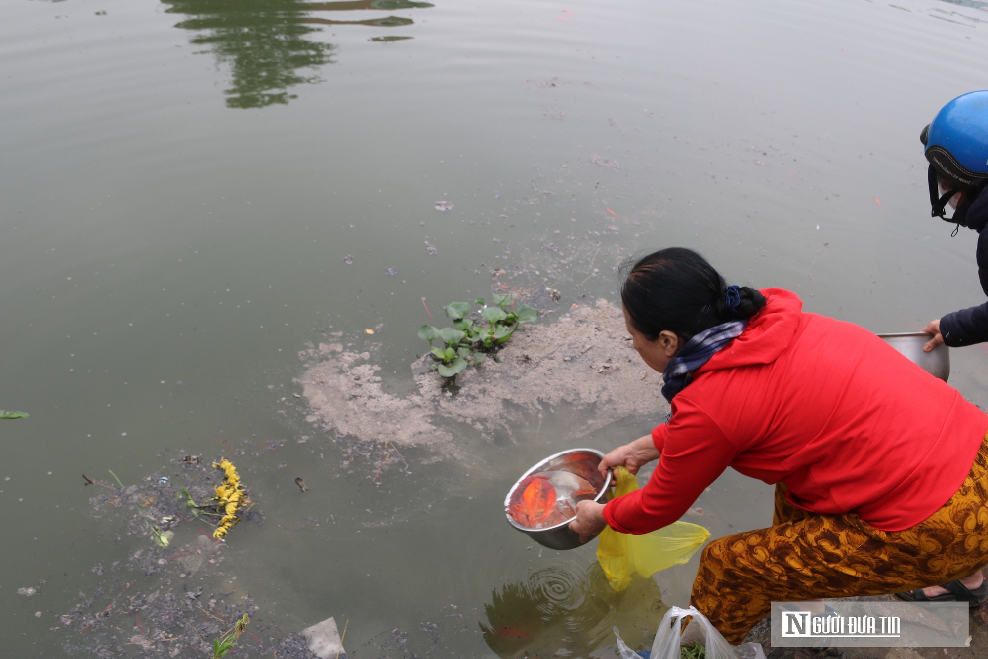 C&aacute; ch&eacute;p ngộp thở dưới l&agrave;n nước đầy tro v&agrave; r&aacute;c trong ng&agrave;y c&uacute;ng &ocirc;ng T&aacute;o- Ảnh 9.