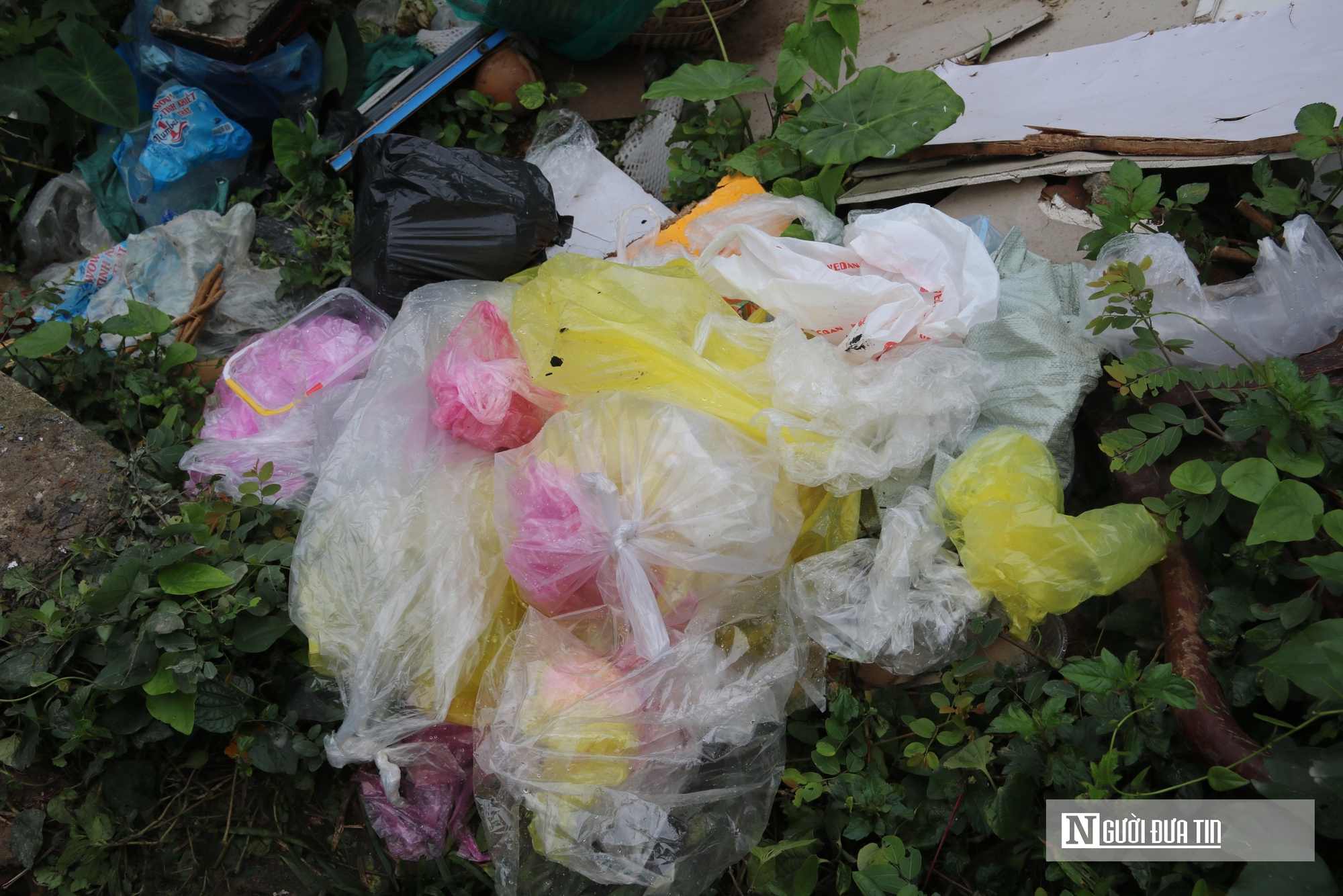 C&aacute; ch&eacute;p ngộp thở dưới l&agrave;n nước đầy tro v&agrave; r&aacute;c trong ng&agrave;y c&uacute;ng &ocirc;ng T&aacute;o- Ảnh 11.