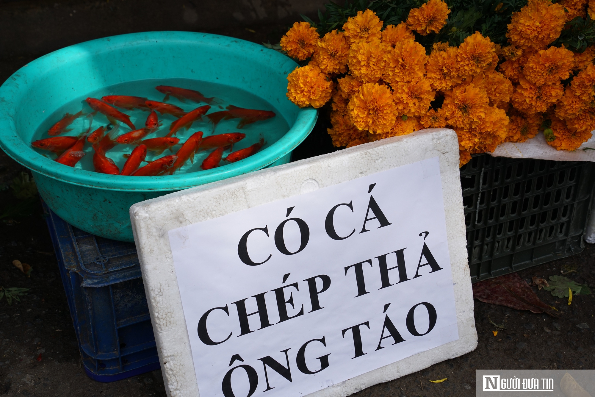 Chợ đồ cúng ông Công ông Táo vào mùa cao điểm, lan tỏa phong tục thả cá chép- Ảnh 8.
