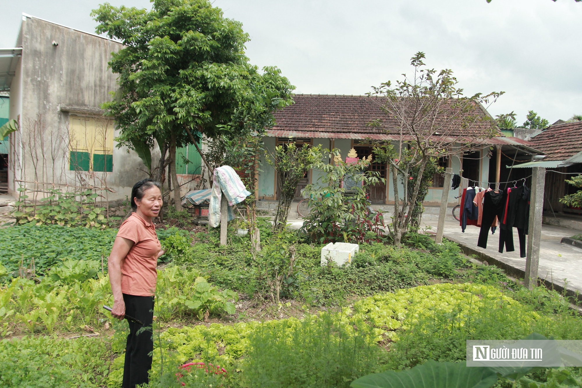 Người d&acirc;n v&ugrave;ng lũ H&agrave; Tĩnh kh&ocirc;i phục cuộc sống, sẵn s&agrave;ng đ&oacute;n Tết - Ảnh 1.