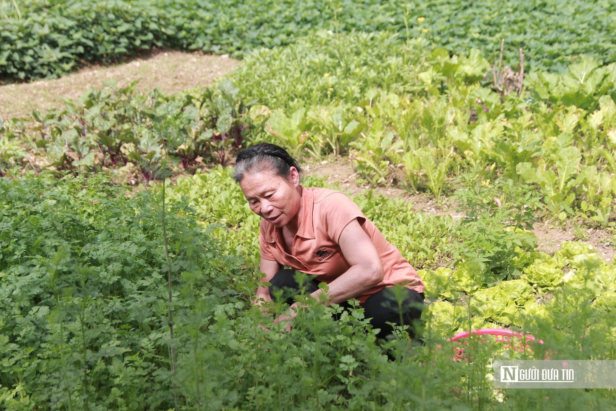 Người d&acirc;n v&ugrave;ng lũ H&agrave; Tĩnh kh&ocirc;i phục cuộc sống, sẵn s&agrave;ng đ&oacute;n Tết - Ảnh 2.