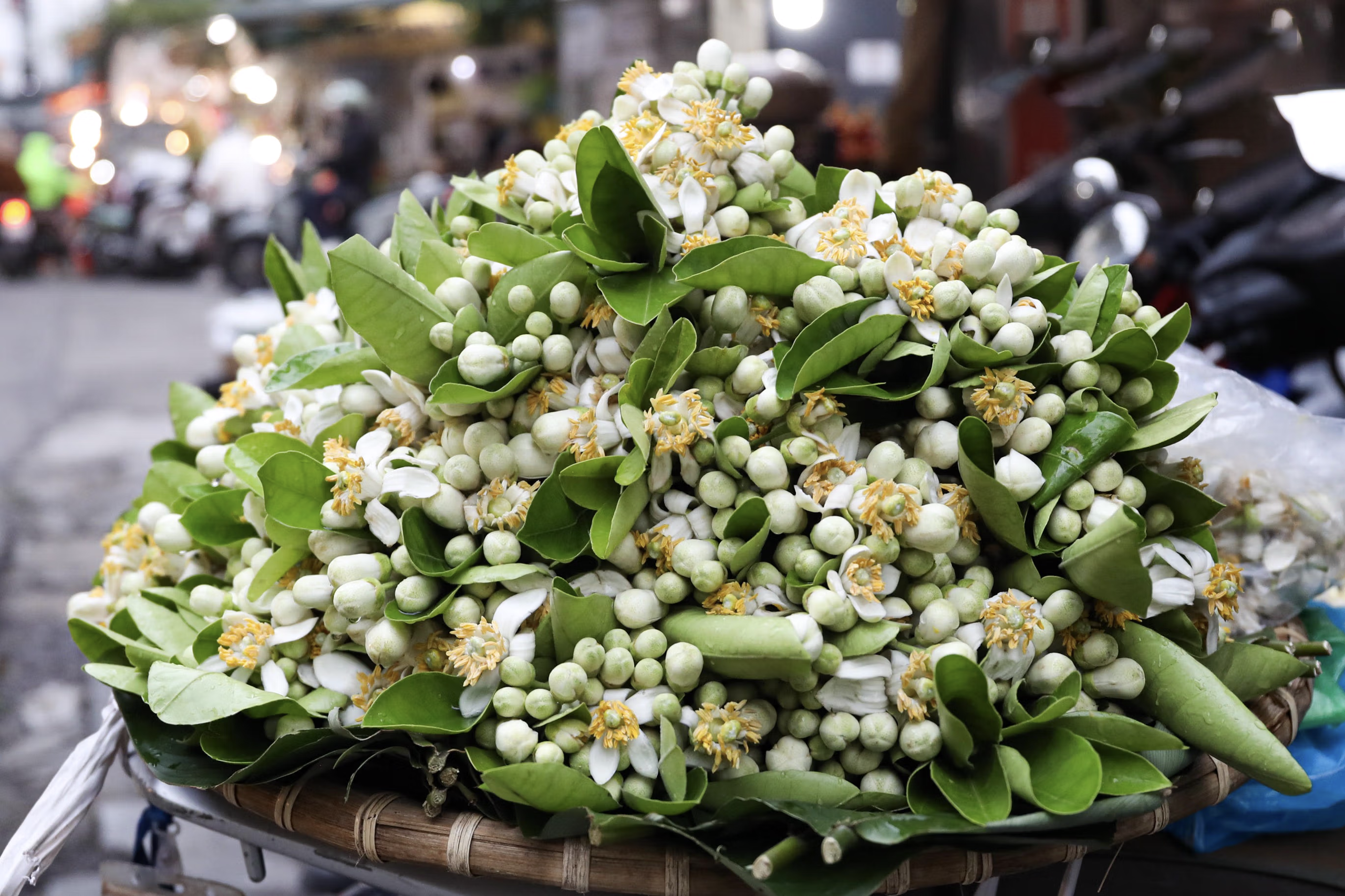 Gà luộc giá 1 triệu đồng/con có gì đặc biệt mà khách vẫn đổ xô mua - Ảnh 8.