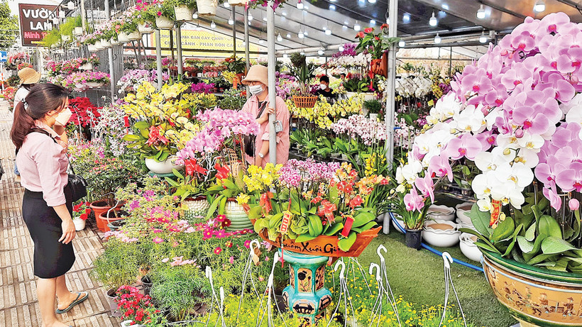 Những người bán hoa tết - Ảnh 1.