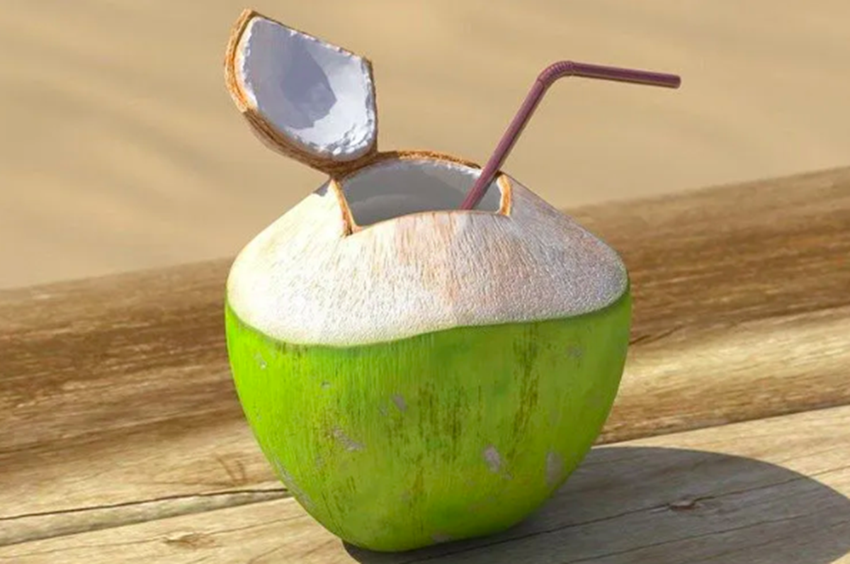 Uống nước dừa tốt nhất vào buổi sáng, 2 nhóm người phải kiêng - Ảnh 2.