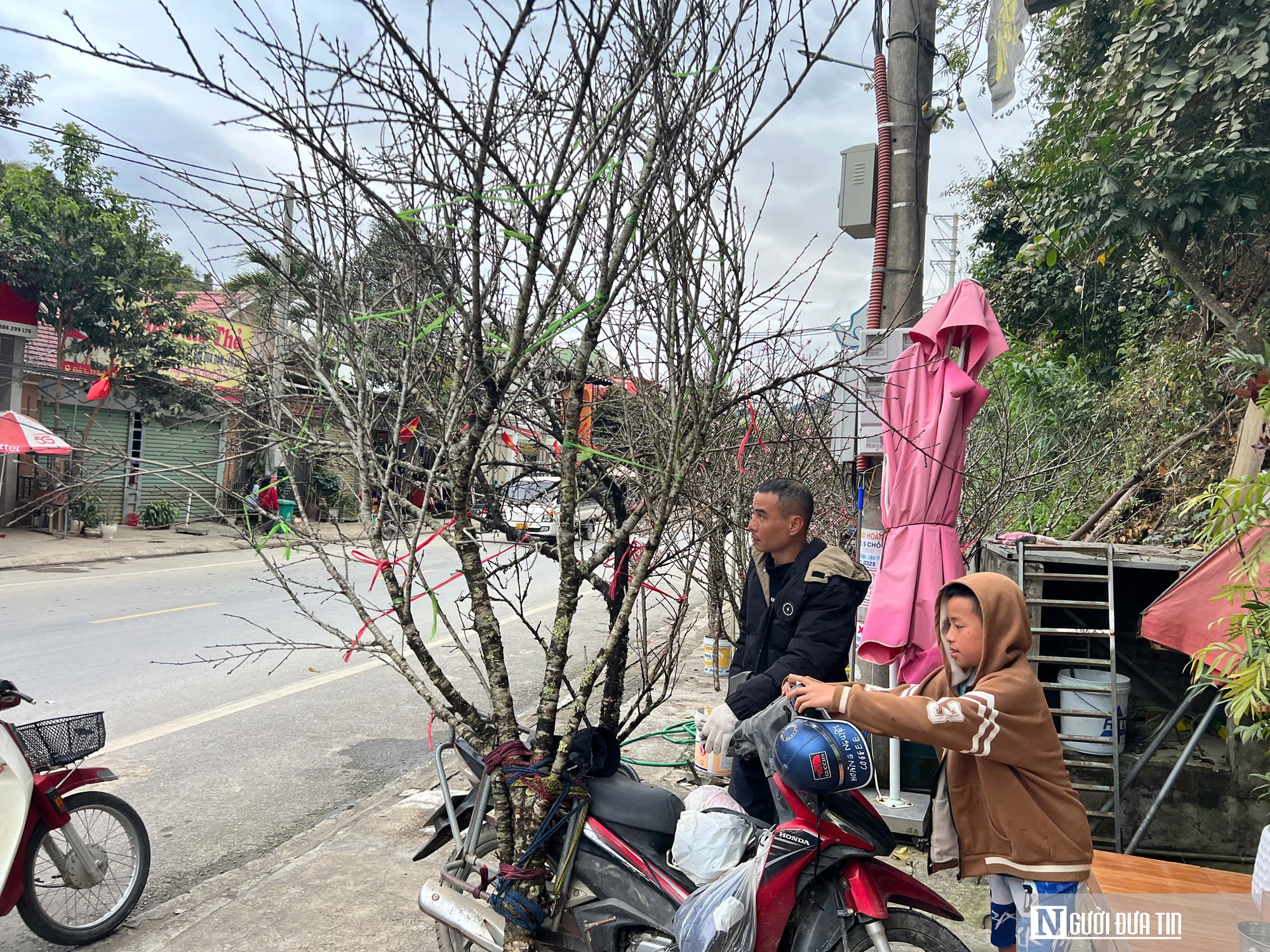 Theo ch&acirc;n &ldquo;thợ săn&rdquo; đ&agrave;o đ&aacute;: Một tuần lội rừng, hốt bạc cả trăm triệu dịp Tết - Ảnh 2.