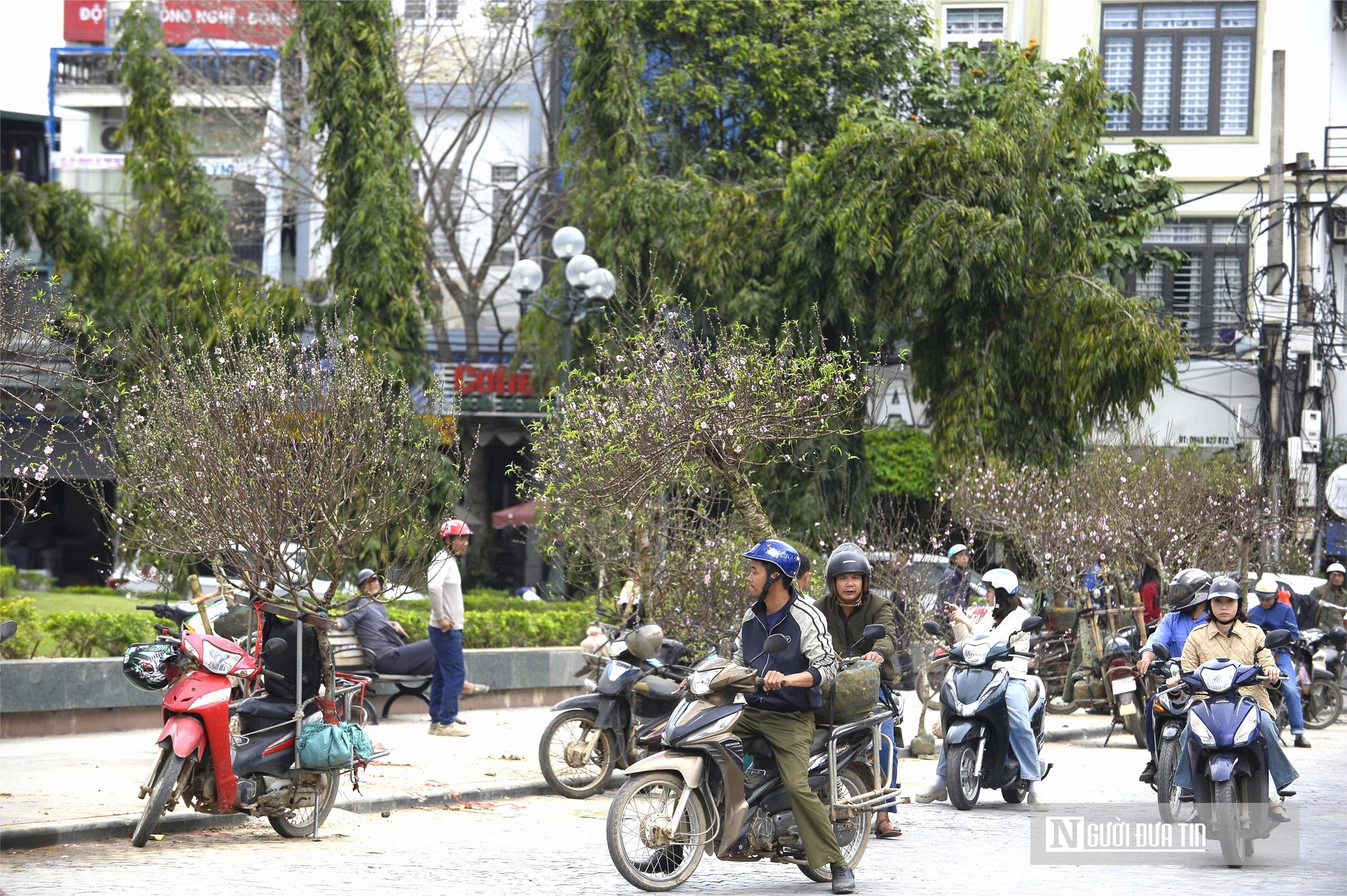 Chở "mùa xuân" trên yên xe về phố, kiếm chục triệu mỗi ngày giáp Tết- Ảnh 1. Chở "mùa xuân" trên yên xe về phố, kiếm chục triệu mỗi ngày giáp Tết- Ảnh 1.