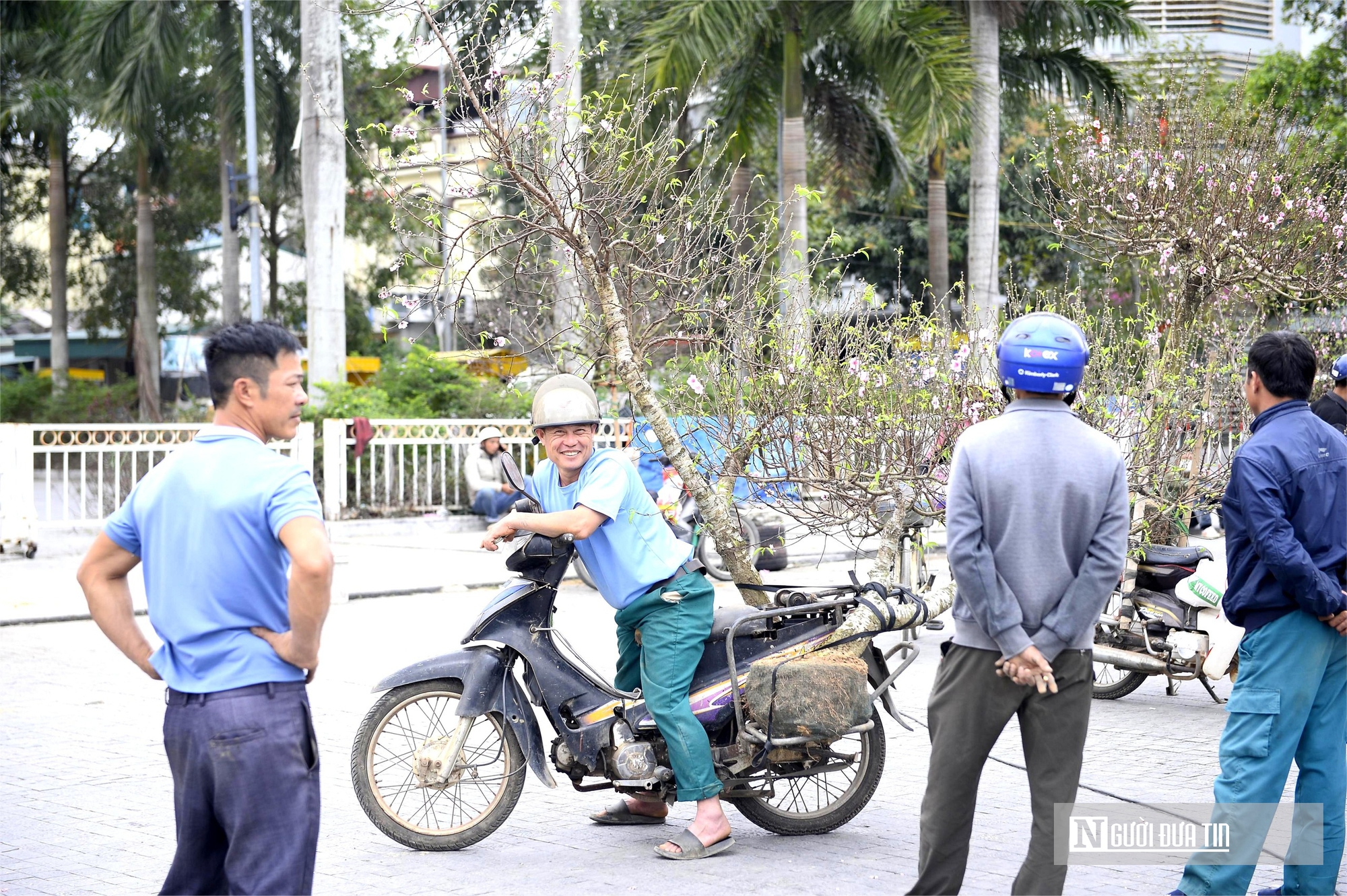 Chở "mùa xuân" trên yên xe về phố, kiếm chục triệu mỗi ngày giáp Tết- Ảnh 2. Chở "mùa xuân" trên yên xe về phố, kiếm chục triệu mỗi ngày giáp Tết- Ảnh 2.
