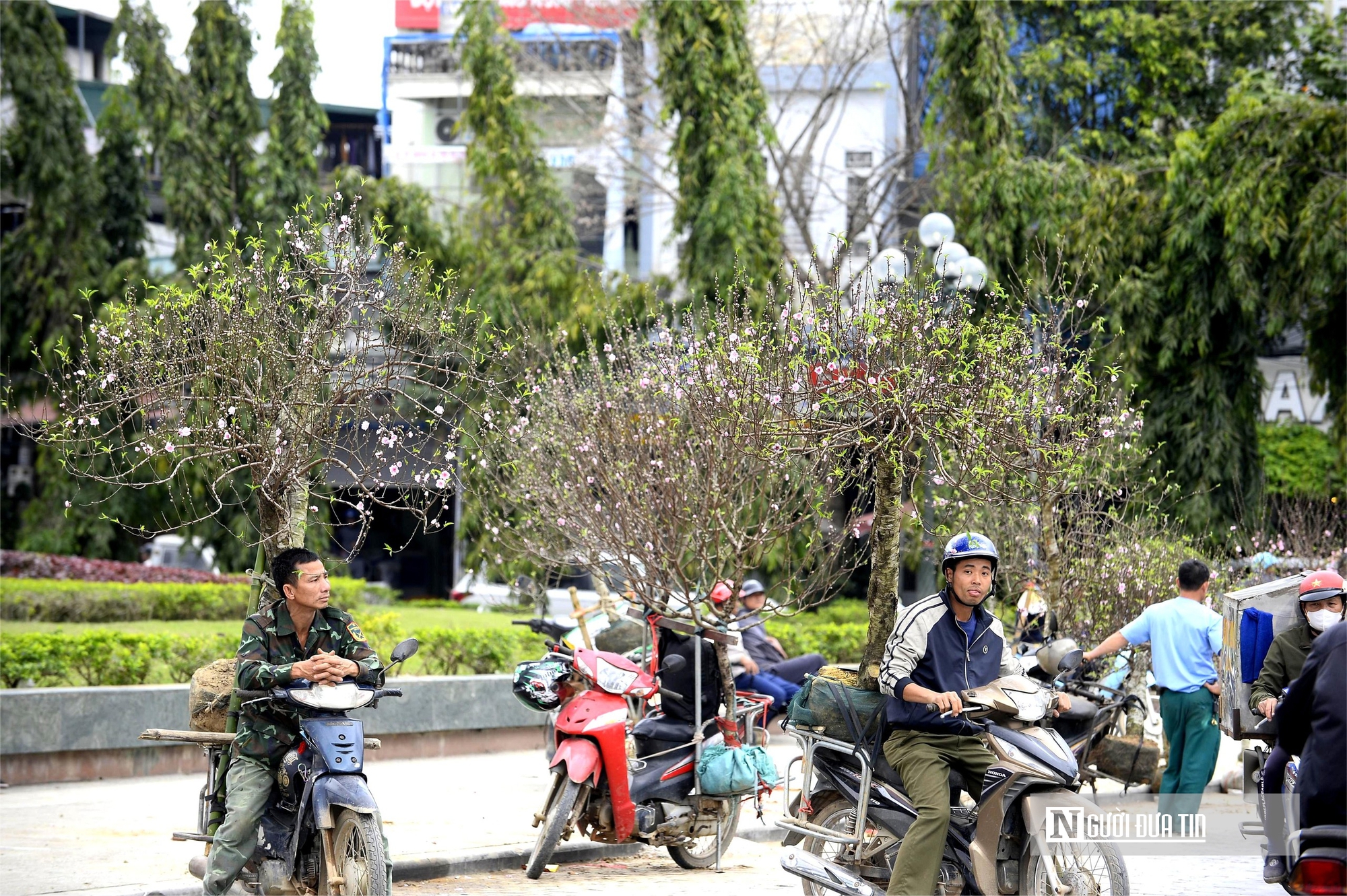 Chở "mùa xuân" trên yên xe về phố, kiếm chục triệu mỗi ngày giáp Tết- Ảnh 3. Chở "mùa xuân" trên yên xe về phố, kiếm chục triệu mỗi ngày giáp Tết- Ảnh 3.