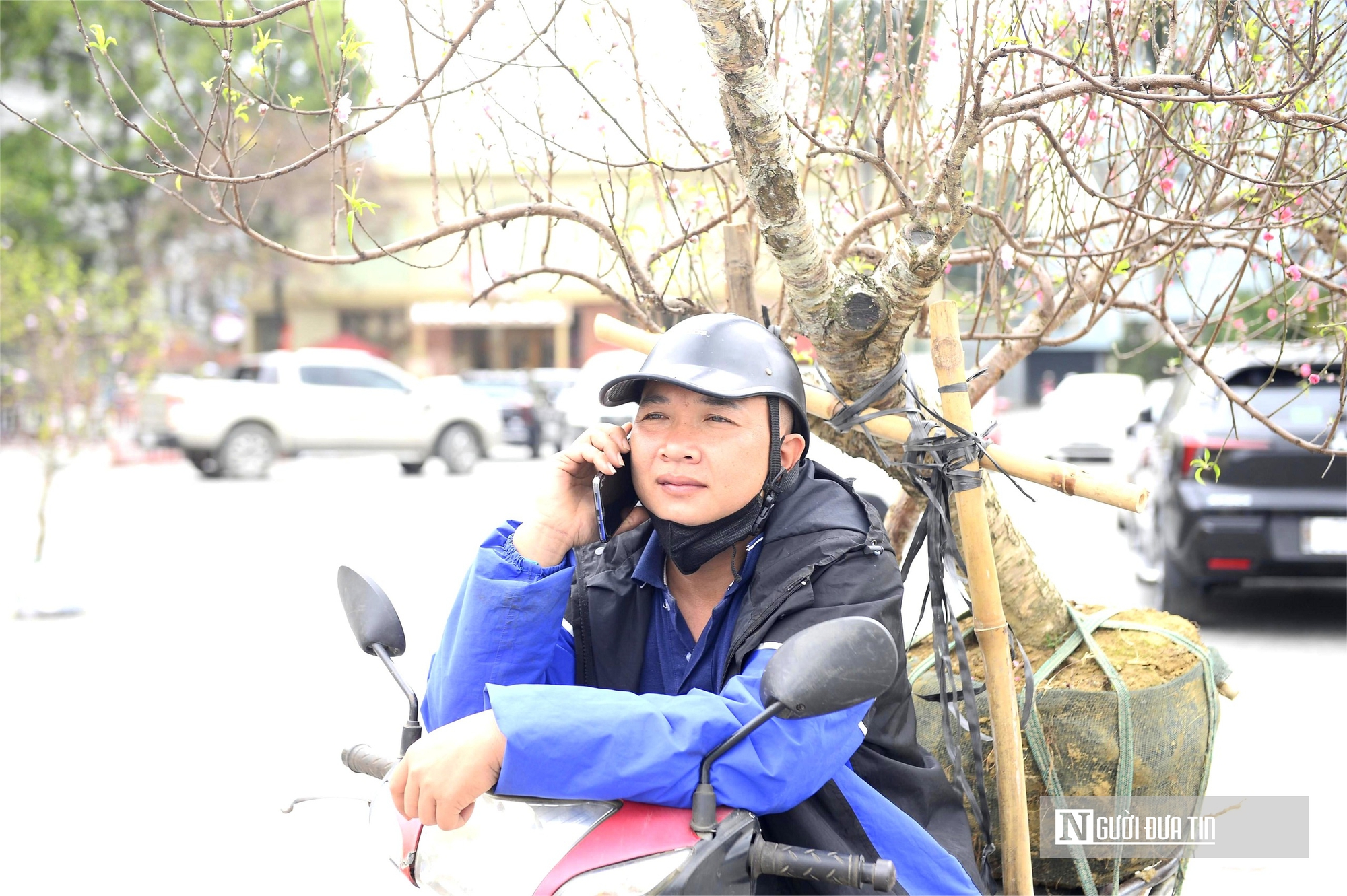Chở "mùa xuân" trên yên xe về phố, kiếm chục triệu mỗi ngày giáp Tết- Ảnh 5. Chở "mùa xuân" trên yên xe về phố, kiếm chục triệu mỗi ngày giáp Tết- Ảnh 5.