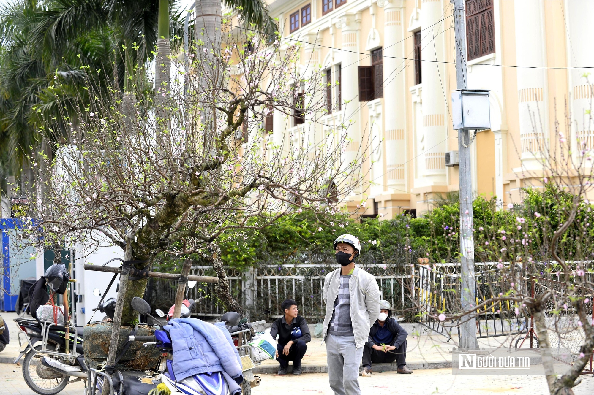 Chở "mùa xuân" trên yên xe về phố, kiếm chục triệu mỗi ngày giáp Tết- Ảnh 6. Chở "mùa xuân" trên yên xe về phố, kiếm chục triệu mỗi ngày giáp Tết- Ảnh 6.