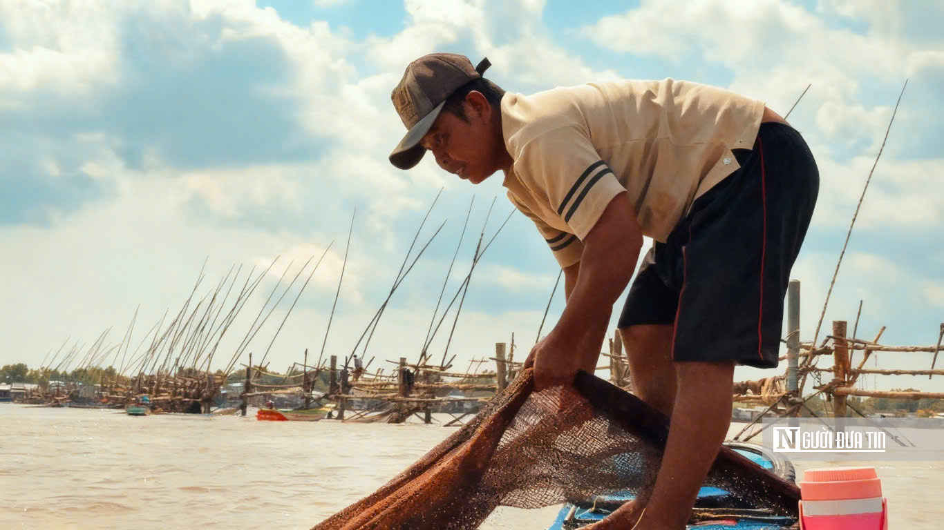 Theo chân ngư dân Đất Mũi mưu sinh bằng nghề đóng đáy- Ảnh 2.