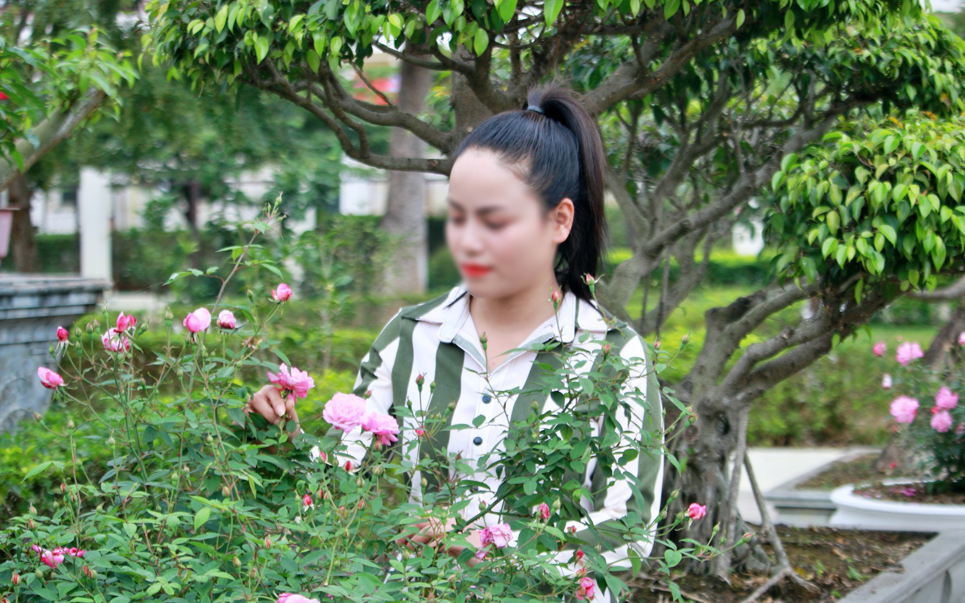 Cái Tết nhẹ lòng sau 9 năm cải tạo tại trại giam Hoàng Tiến, Hải Phòng