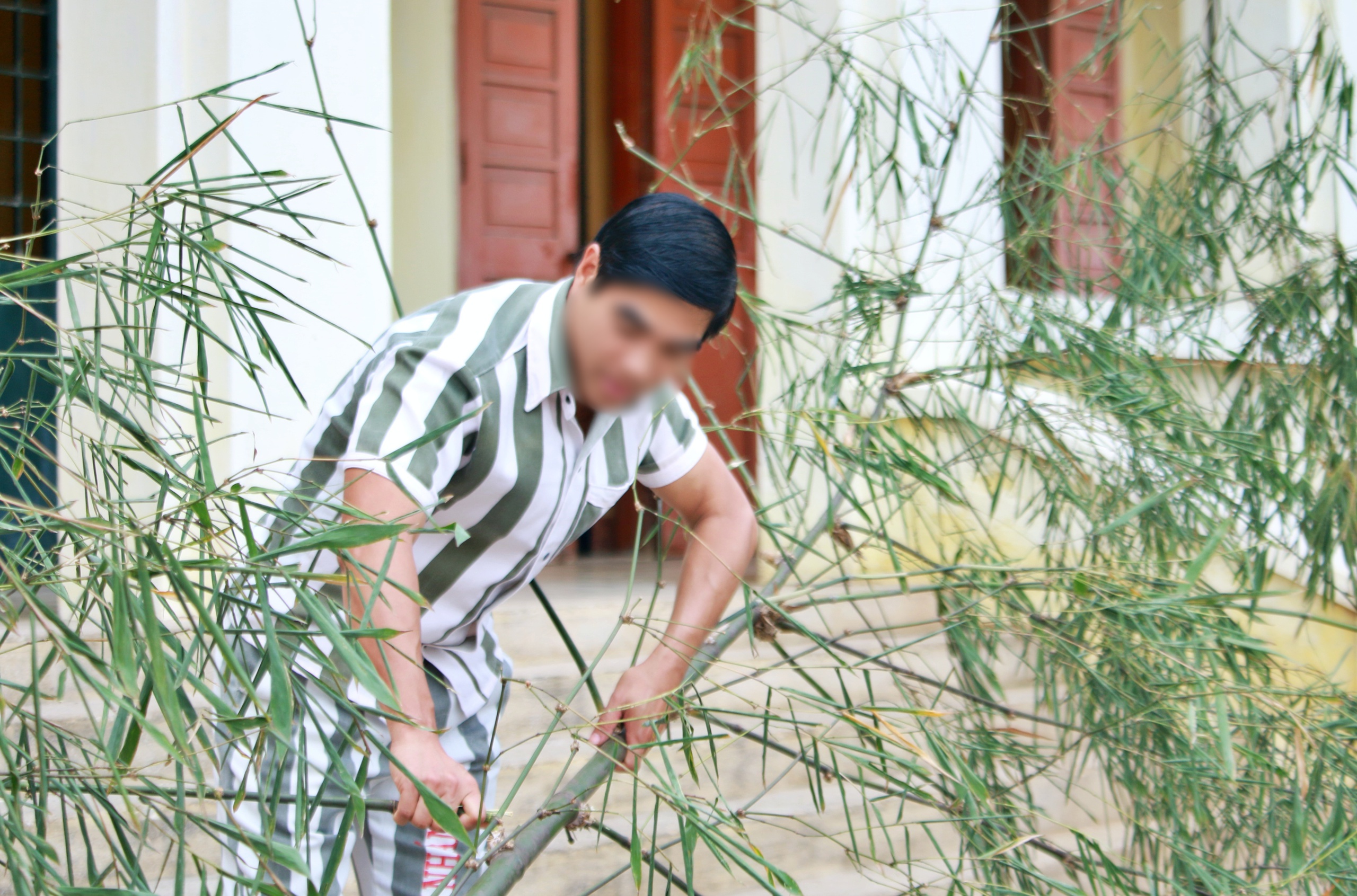 Tết sau song sắt: Điểm tựa để người lầm lỡ hướng về ngày trở lại - Ảnh 4.