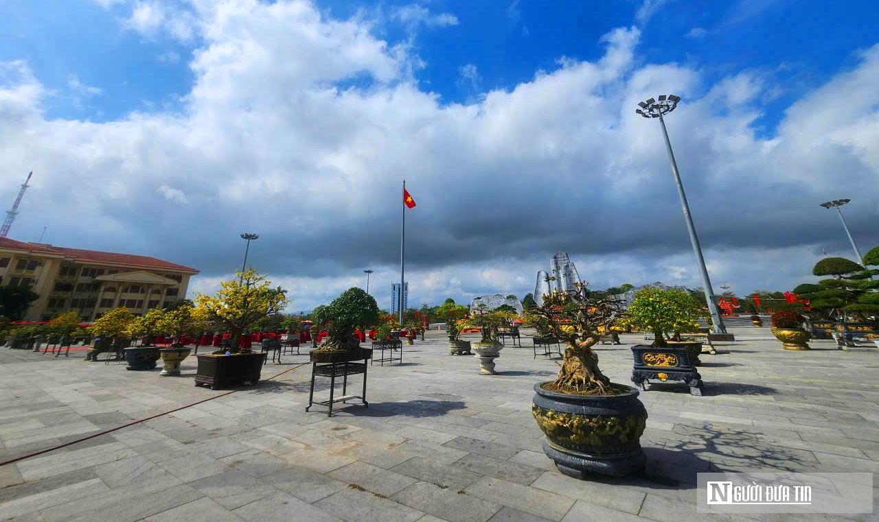 Dàn linh vật ngựa tung vó “mã đáo thành công” ở Quảng Trị- Ảnh 8. Dàn linh vật ngựa tung vó “mã đáo thành công” ở Quảng Trị- Ảnh 8.