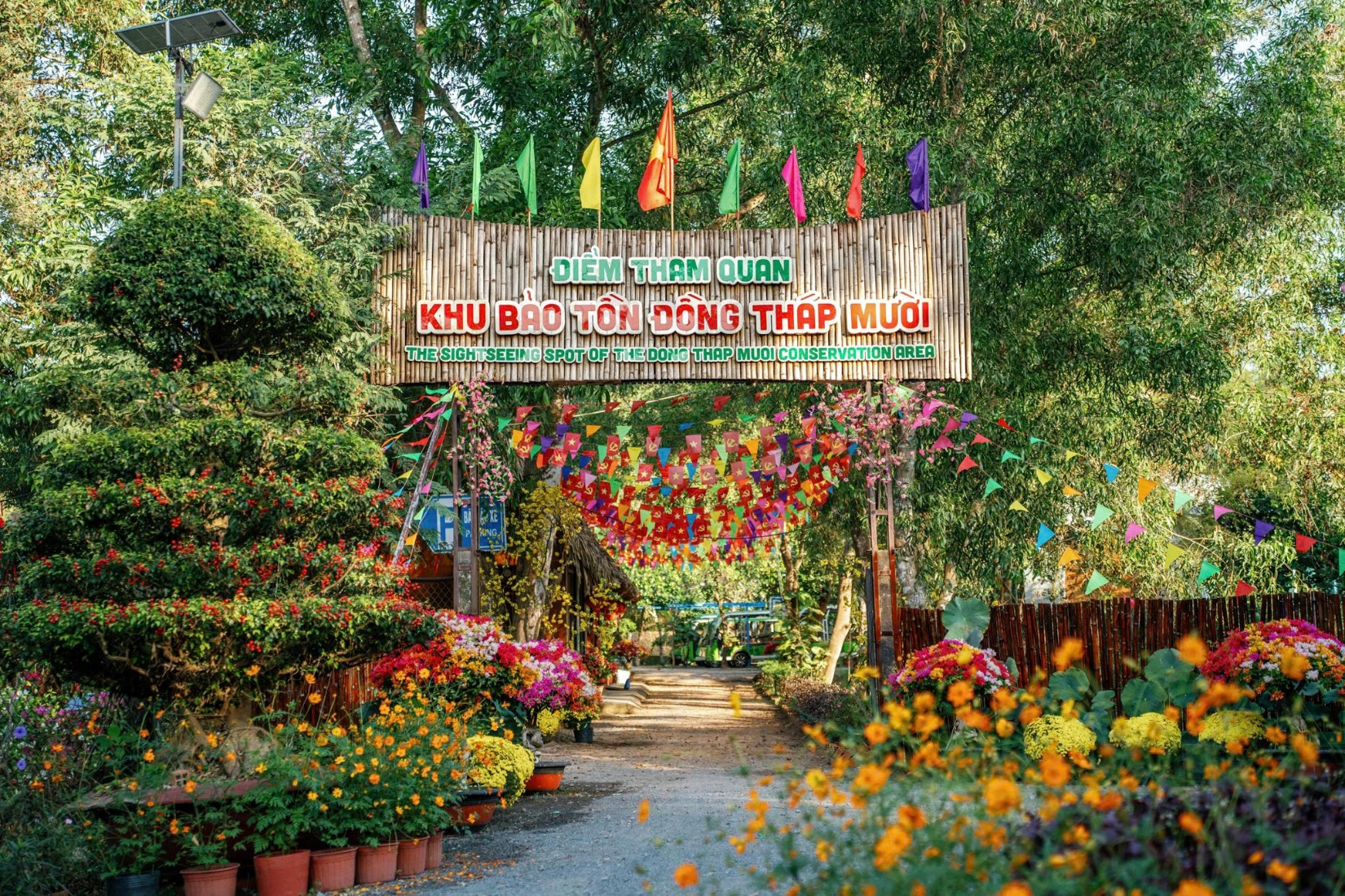 Kiến trúc “thành phố thẳng đứng” tại Điểm tham quan Khu bảo tồn Đồng Tháp Mười - Ảnh 1.