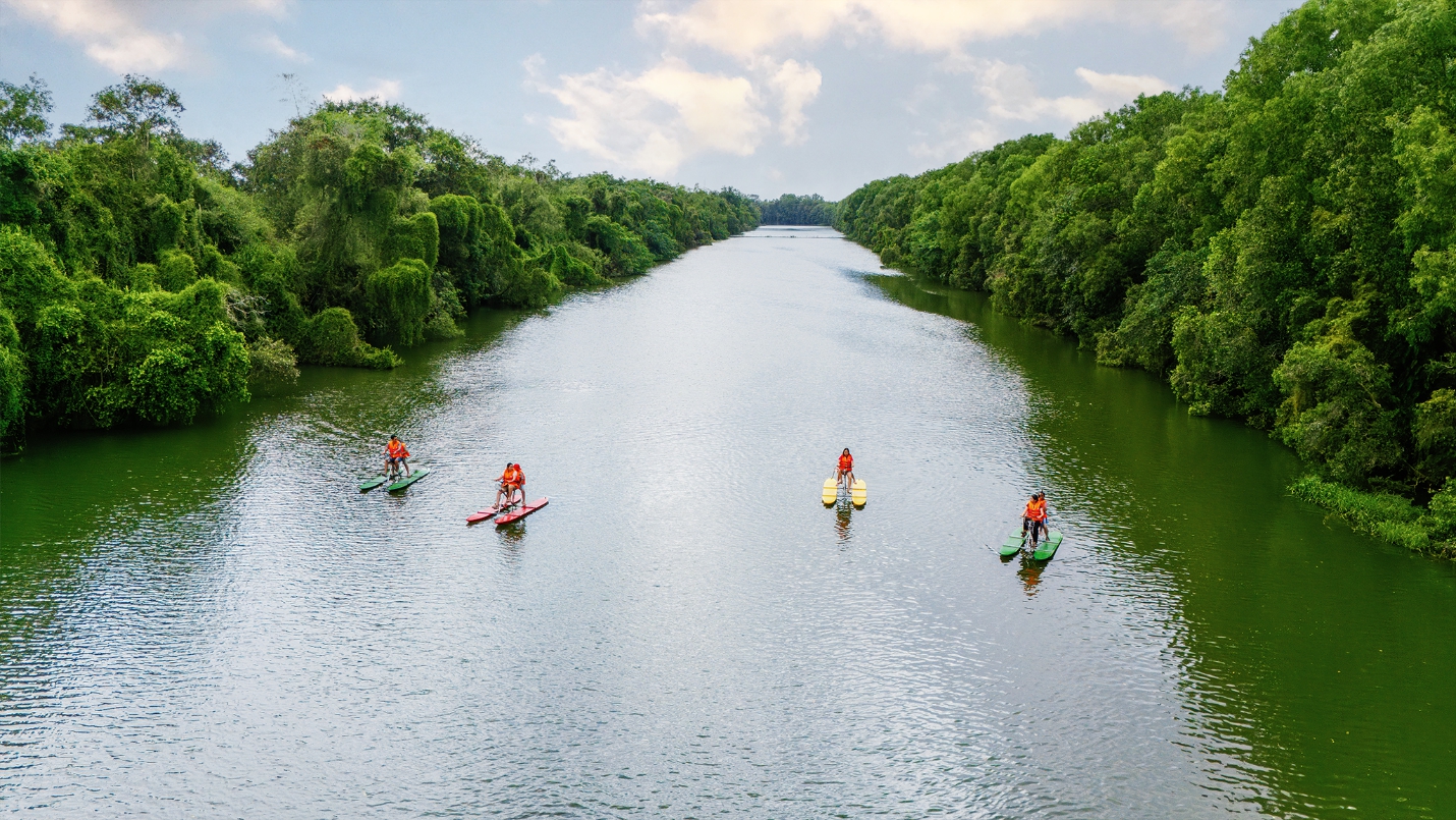Kiến trúc “thành phố thẳng đứng” tại Điểm tham quan Khu bảo tồn Đồng Tháp Mười - Ảnh 3.
