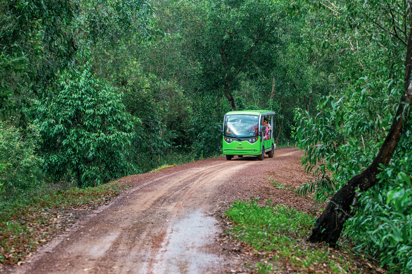 Kiến trúc “thành phố thẳng đứng” tại Điểm tham quan Khu bảo tồn Đồng Tháp Mười - Ảnh 6.