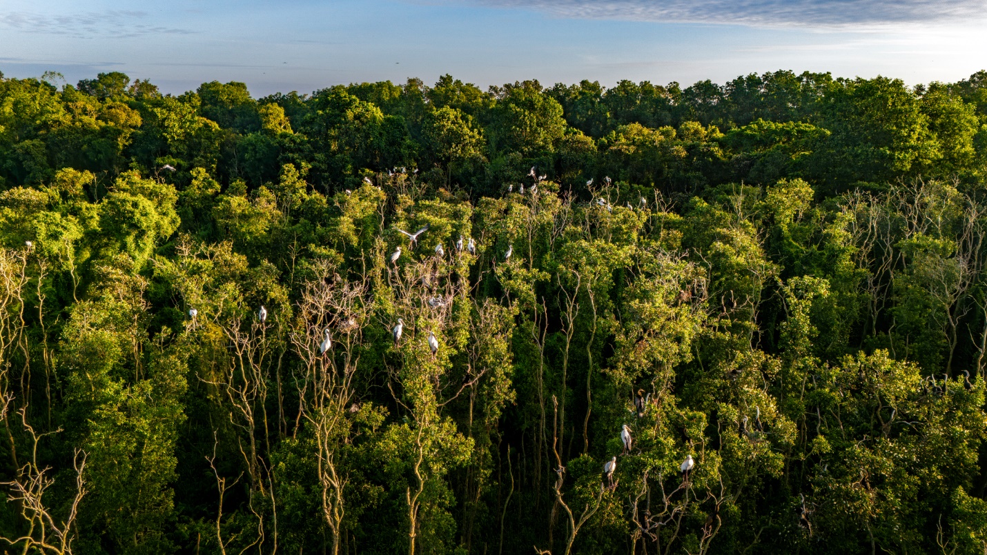 Kiến trúc “thành phố thẳng đứng” tại Điểm tham quan Khu bảo tồn Đồng Tháp Mười - Ảnh 8.