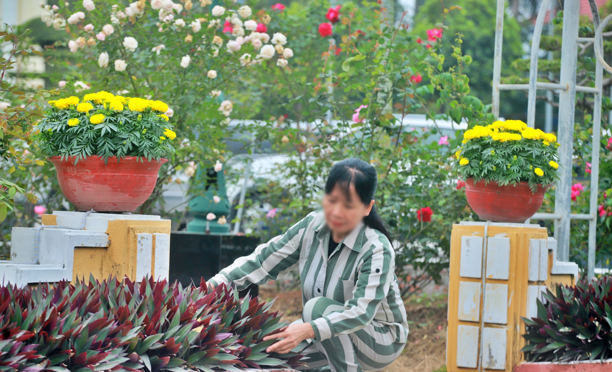 Nỗi day dứt và niềm tin của nữ phạm nhân gần 20 năm đón Tết trong trại giam- Ảnh 3.