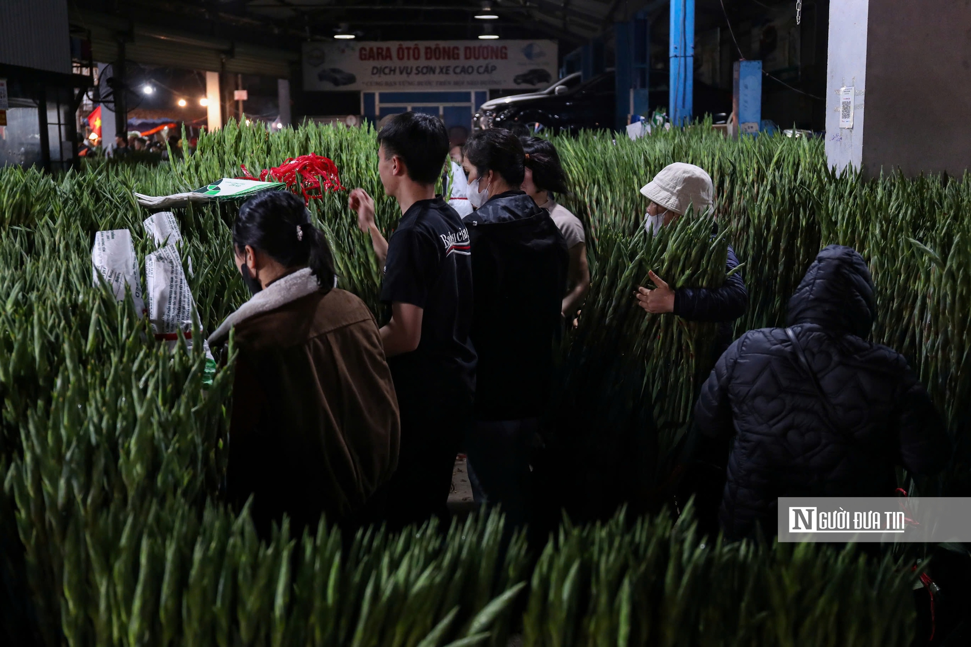 Đ&ecirc;m kh&ocirc;ng ngủ tại chợ hoa Tết lớn nhất H&agrave; Nội- Ảnh 8.