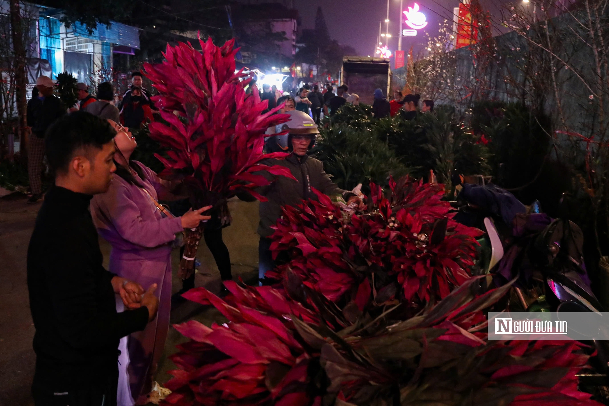 Đ&ecirc;m kh&ocirc;ng ngủ tại chợ hoa Tết lớn nhất H&agrave; Nội- Ảnh 9.