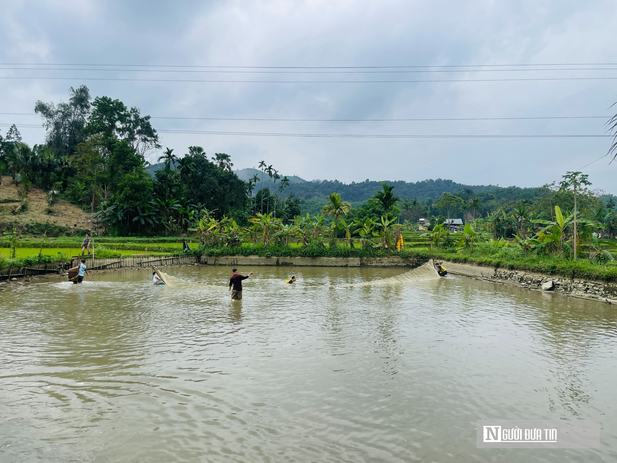 Cá nướng than – lễ vật thiêng cúng tổ tiên dịp Tết của người Thái- Ảnh 1.