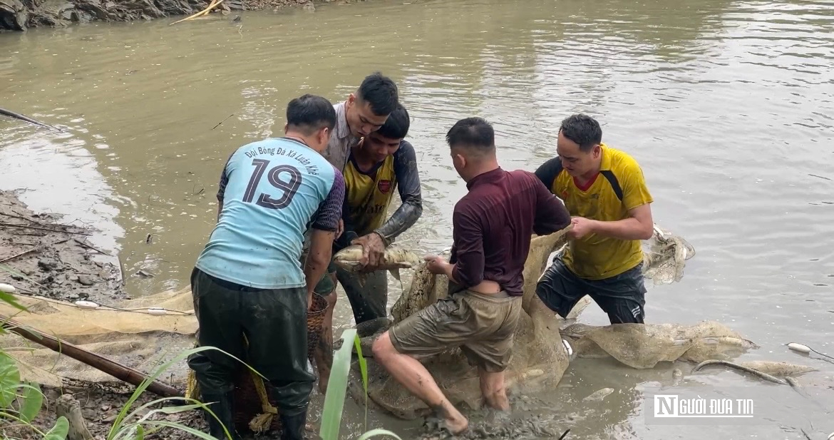 Cá nướng than – lễ vật thiêng cúng tổ tiên dịp Tết của người Thái- Ảnh 7.