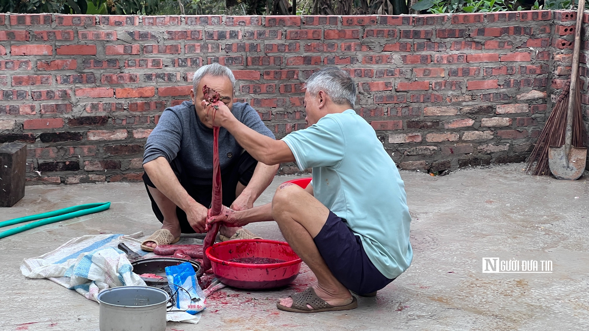 Tục "đụng lợn", "đụng bánh chưng" giữ nhịp Tết làng quê- Ảnh 2. Tục "đụng lợn", "đụng bánh chưng" giữ nhịp Tết làng quê- Ảnh 2.