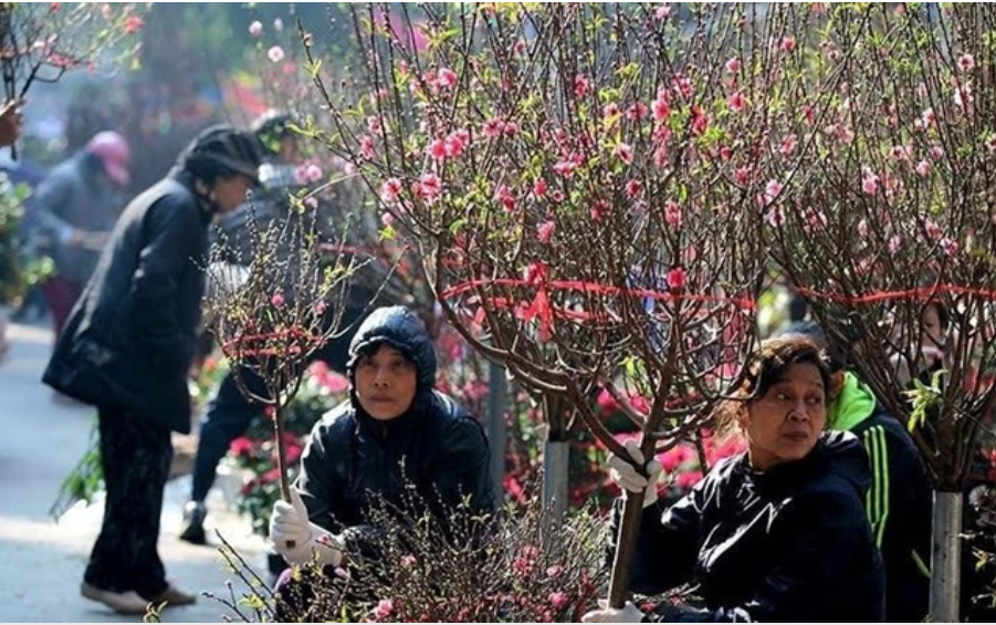 Dự báo thời tiết 15/2: Miền Bắc sắp đón đợt không khí lạnh cực mạnh, trời mưa rét trở lại - Ảnh 1.