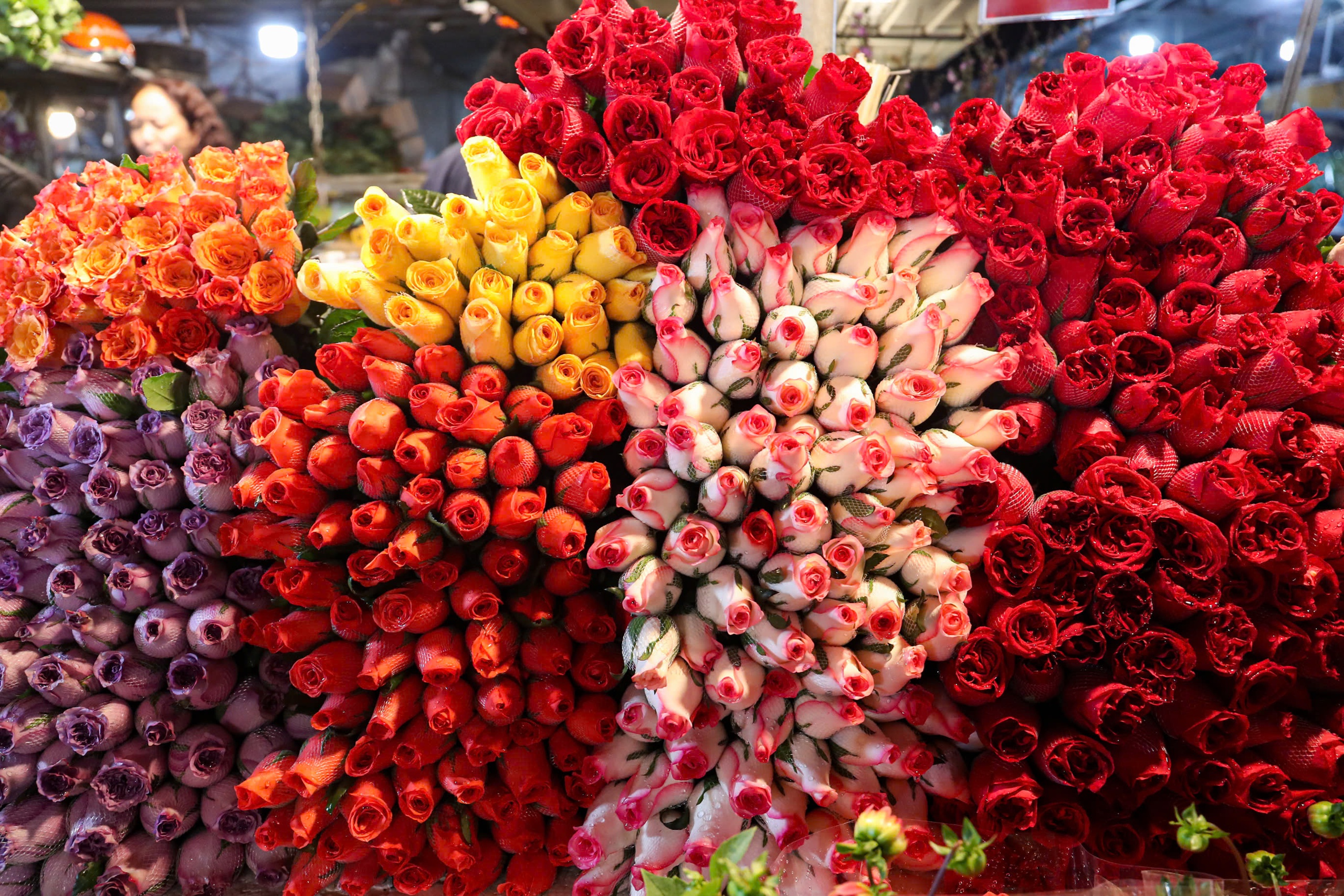 Đ&ecirc;m kh&ocirc;ng ngủ tại chợ hoa Tết lớn nhất H&agrave; Nội- Ảnh 14.