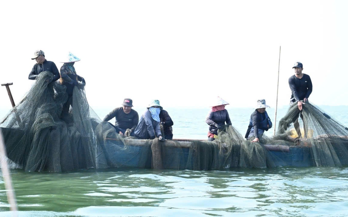 Nhịp sống mưu sinh rộn ràng trên Hồ Trị An những ngày cận Tết Nguyên đán