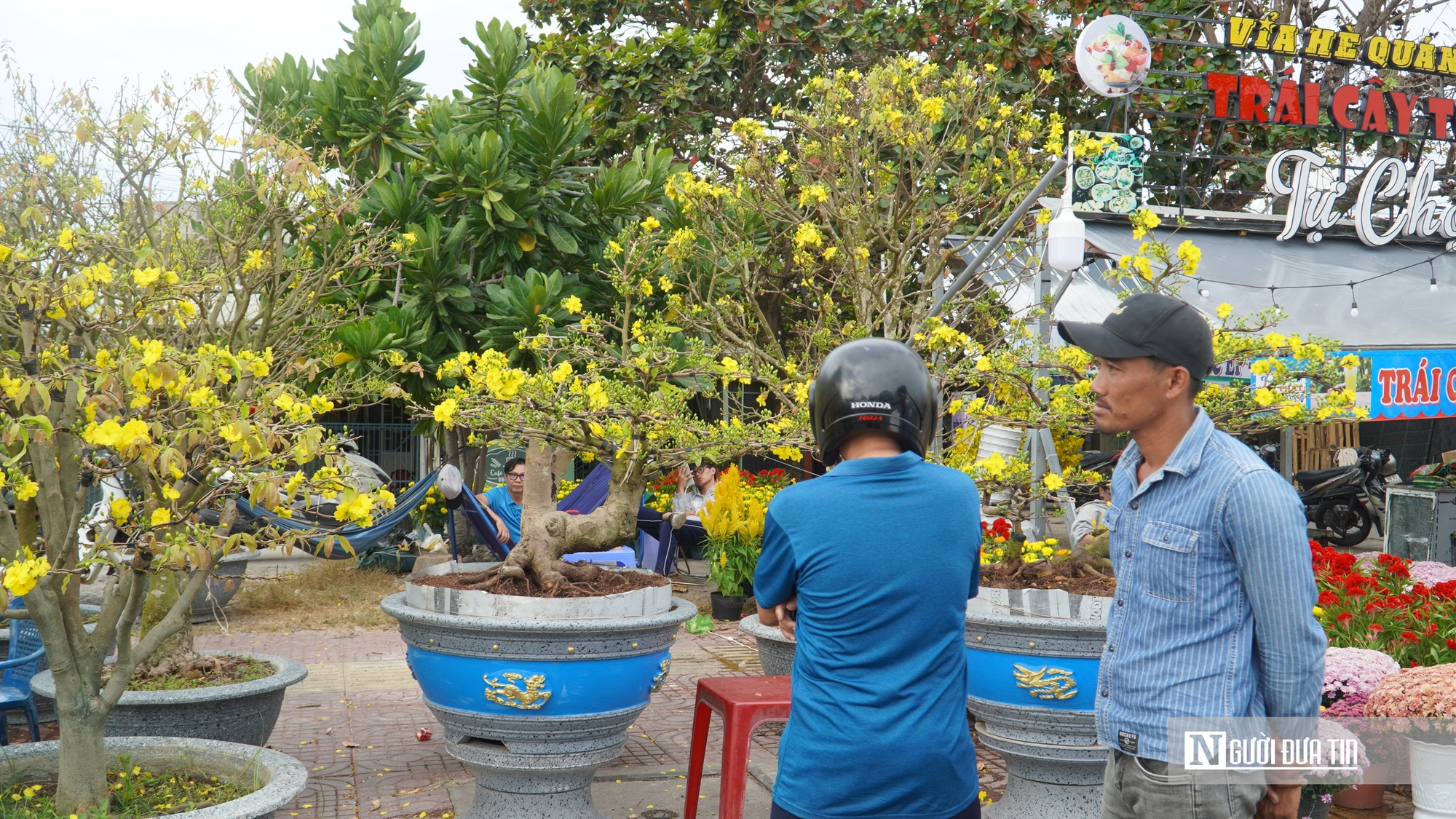 Đại cảnh hoa, linh vật ngựa và Hội hoa Xuân thu hút dòng người du xuân- Ảnh 11.