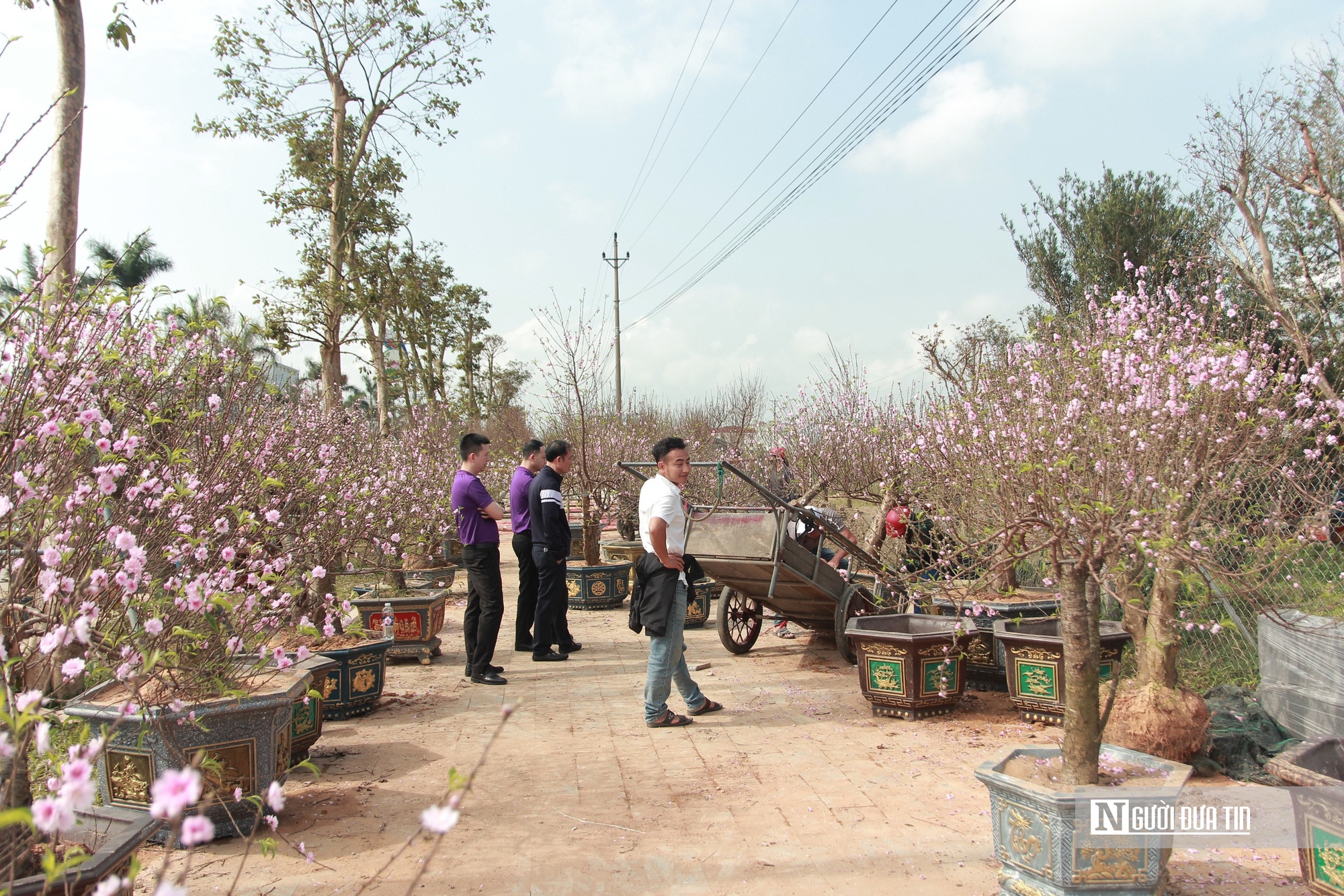 Lao động kiếm tiền triệu bằng nghề &ldquo;chở Tết về nh&agrave;&rdquo;- Ảnh 1.