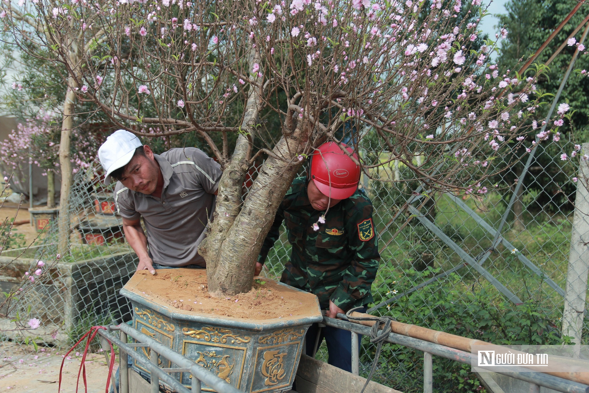 Lao động kiếm tiền triệu bằng nghề &ldquo;chở Tết về nh&agrave;&rdquo;- Ảnh 3.