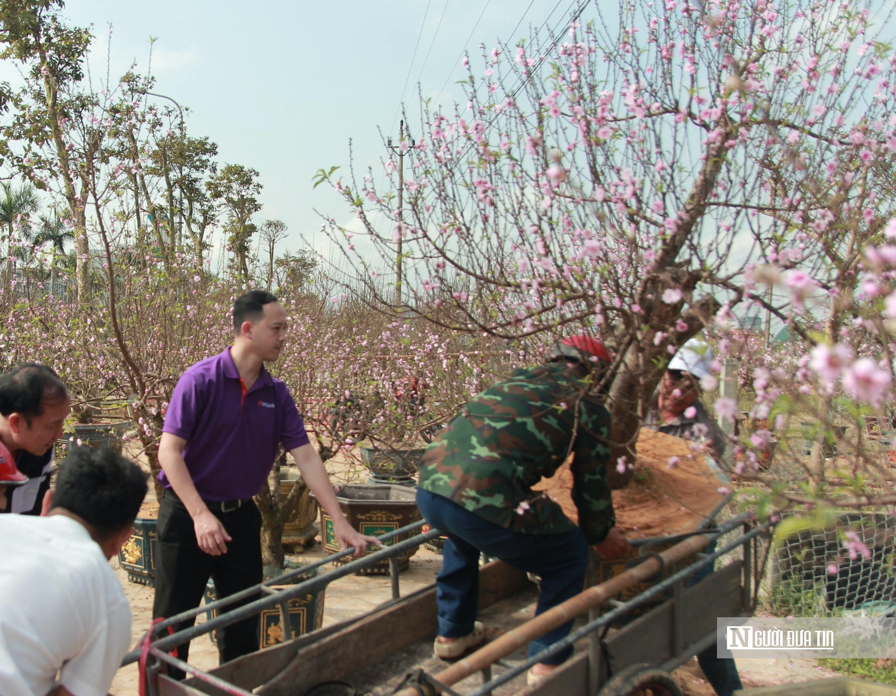 Lao động kiếm tiền triệu bằng nghề &ldquo;chở Tết về nh&agrave;&rdquo;- Ảnh 5.